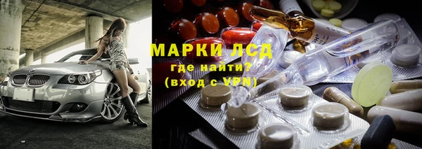 бошки Белокуриха