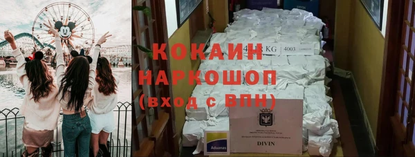 бошки Белокуриха